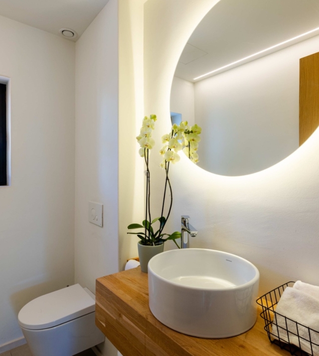 Resa Estates Ibiza finca jesus for rent longterm entrance house guest toilet.jpg